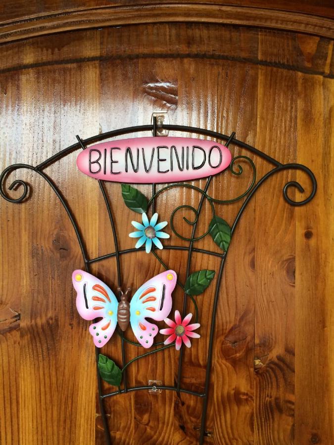 Casa Roble Anejo Bed & Breakfast Santa Cruz Eksteriør billede